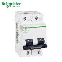 Qizaotia Schneider C120L ตัวตัดวงจรไฟฟ้าสูงไฟฟ้า2P C ประเภท80A 63A 100A 125A 15kA A9N19833/40/48/56