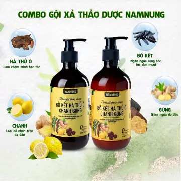 Công dụng và lợi ích của việc sử dụng dầu gội bồ kết hà thủ ô chanh gừng cho tóc