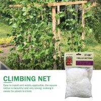 【CW】 Garden Trellis Netting Heavy Duty Mesh Vine Landing Weaving Frame for Vegetable Orchard Climbing