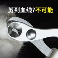 [Fast delivery] Small Blind Scissors Cat Nail Scissors Newbie Special Pet Anti-Scratch Cat Nail Scissors Round Hole Kitten Claw Scissors Anti-cutting Blood Line Second nail clipper No splitting no splitting