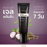 เจลแต้มสิว Newway Acne Gel เจลแต้มสิวเปลือกมังคุด บรรเทาการอักเสบ สิวยุบ ไม่แสบ ไม่แดง ไม่ลอก (15ml)