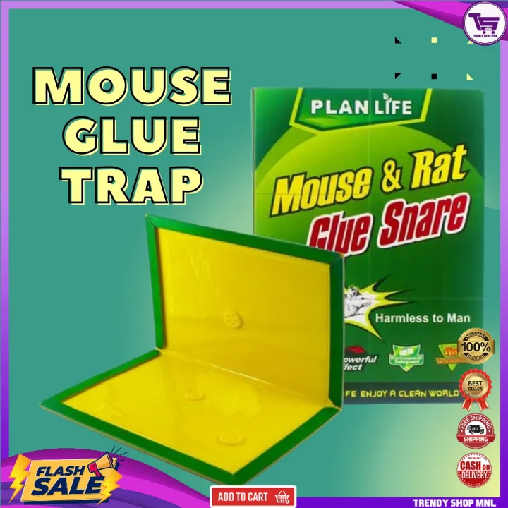 Trendy Mnl Original Mouse And Rats Glue Traps Sticky Mouse Board Glue 