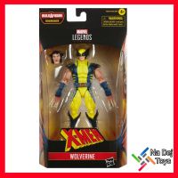 Hasbro Marvel Legends X-Men Wolverine figure มาร์เวล เลเจนด์ วูลฟ์เวอรีน ฟิกเกอร์