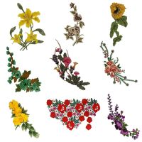 Morning Glory Jasmine Peacock Flower Embroidery Applique Cord Trim for Dress Decor Craft Fabric Patches DIY Sewing Accessories Sewing Machine Parts  A