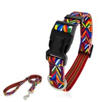 Nylon Pet Collar Traction Rope Set Rainbow Print Dog Leash Training Collar Large Cat And Dog Pet Leash Outdoor Pet Supplies