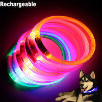 LED Dog Collar Night Safety Lighting Anti-Lost Dog Glowing Collar Dog Puppy Night Flash Rechargeable Collar Accessories