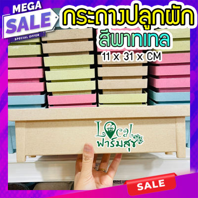 Local ฟาร์มสุข กระถางปลูกผัก กระถางต้นไม้ กระถางปลูกต้นไม้ กระถางพลาสติก กระถางแบบยาว สีพาทเทล เนื้อดี สวย homes