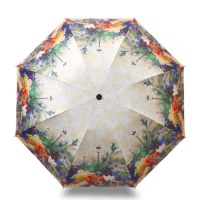 【CC】 Painting Umbrella Fashion Folding Manual Parasol Przeciwdeszczowy