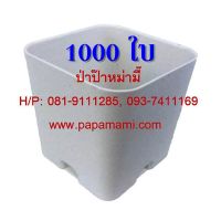 (1000ใบ) papamami กระถางพลาสติก กระถางขาว เหลี่ยม 2นิ้ว กระถางปลูกต้นไม้ กระถางต้นไม้ ที่ปลูกต้นไม้ กระถางแค็คตัส กระถางปลูกตอ กระถางกระบอง