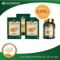 [3 ขวด] ถั่งเช่าผสมสารสกัดชะเอม PHYTO GOLD (60 แคปซูล/ขวด)