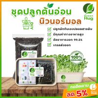 ชุดปลูกต้นอ่อน GREENHUG - ชุดปลูกทานตะวัน ชุดปลูกโต้วเหมี่ยว ชุดปลูกผักบุ้ง ชุดปลูกไควาเระ ชุดปลูกข้าวสาลี(Sprout Kit-Sunflower Kaiware GreenPeas Wheat MorningGlory)