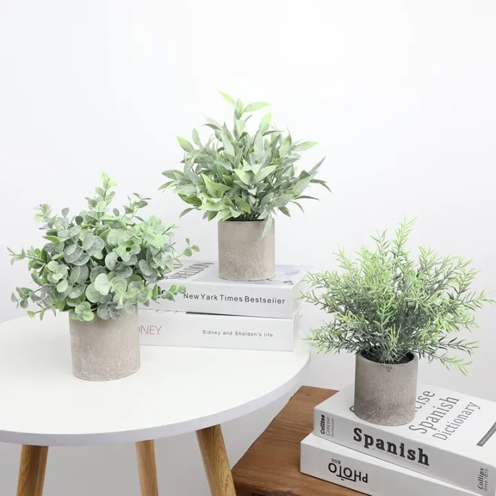 Get green with these room decor plants ideas for a fresh and lively space