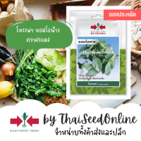 VP3 ซฟ เมล็ดพันธุ์ โหระพา หอมโอฬาร 300เมล็ด ตราศรแดง Sweet Basil