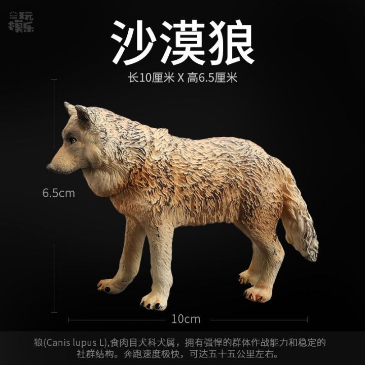 playing-music-simulation-grassland-wolf-wildlife-animal-model-of-solid-plastic-wolf-wolf-model-toys