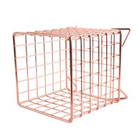 Coffee Capsule Holder Iron Storage Basket for Capsules Pods Office Cafe Kitchen Organizer Storage Rack