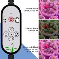 LED Grow Light Greenhouse Phyto Lamp Hydroponics Growing System หลอดไฟ LED เต็มสเปกตรัมสำหรับเต็นท์ในร่ม Veg ดอกไม้ Growing