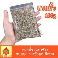 ฮวยมั้ว ฮวยมั๊ว แบ่งชั่ง 100g  เม็ดเล็ก เต็มเม็ด เนื้อแน่น คัดเกรด ฮวยมั๊ว แบ่งชั่ง มั้ว ขนมนก รางวัลนก ฝึกนก