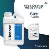 [สินค้าพร้อมจัดส่ง]⭐⭐Athena Cleanse ปุ๋ยทำให้ระบบน้ำสะอาดลดการอุดตัน ไร้คราบตะกรัน ช่วยให้รากแข็งแรง ขนาด1Gal./5 Gal.[สินค้าใหม่]ปุ๋ย