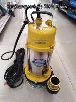 ปั๊มแช่สแตนเลส 2 นิ้ว 750w คลินตัน