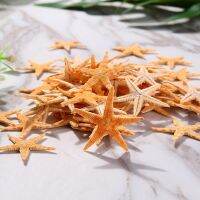 Sea Shells 2-3cm 50Pcs/Bag Mini Starfish Craft Decoration Nautical Collections Natural Sea Stars DIY Seashell Bag 2022 Gift