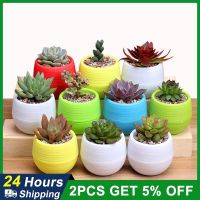 【CW】 Succulent Pot Small Flowerpot Desktop Potted 2023 Plastic Vase Color Mud Holder