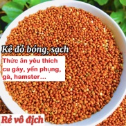 1 Kg hạt kê đỏ bóng, thức ăn cho chim cảnh, Vẹt, chim Yến Phụng