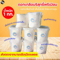 ดอกเกลือบริสุทธิ์ เกรดพรีเมียมส่งออก ดอกเกลือข้ามปี คุณค่าโภชนาการสูง เค็มไม่มาก หวานติดปลายลิ้น ดีต่อสุขภาพ