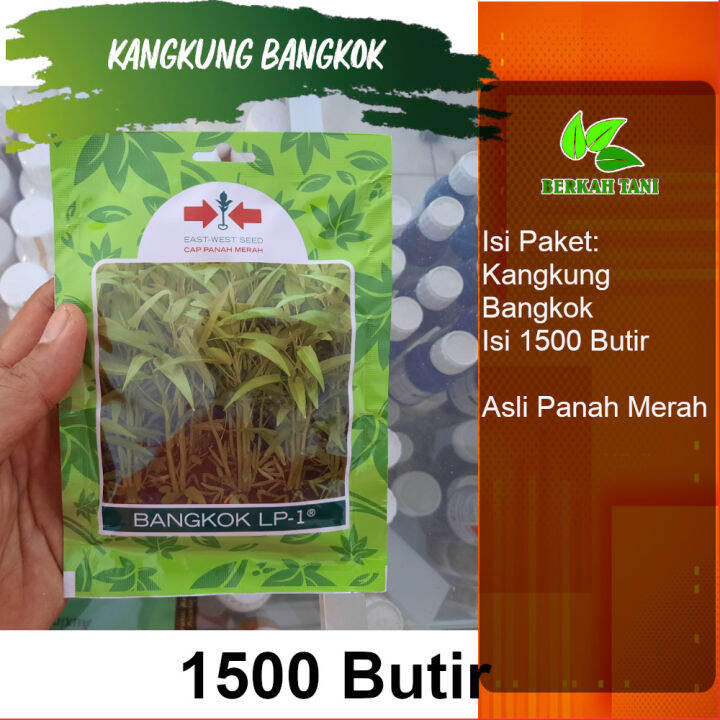 Benih Kangkung Bangkok 1500 Butir Lazada Indonesia