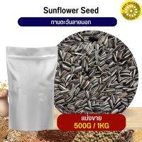 ทานตะวันลายนอก Strip SunFlower อาหารนก กระต่าย หนู กระต่ายกระรอก ชูก้า และสัตว์ฟันแทะ สะแอดได้คุณภาพ(แบ่งขาย 500G / 1KG)