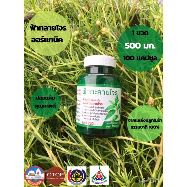 ฟ้าทลายโจรออร์แกนิค-500-mg-100-แคปซูล-คุณภาพดี-จากแหล่งป่าธรรมชาติ-100