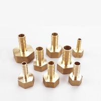 Brass Hose Fitting 6mm 8mm 10mm 12mm 14mm 19mm Barb Tail 1/8 1/4 1/2 3/8 Female Thread Copper Connector Joint Coupler Adapter