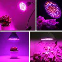 Phyto โคมไฟเต็มสเปกตรัม LED เติบโตไฟ E27 Fitolampy คลิปบนเติบโตโคมไฟสำหรับพืชในร่มต้นกล้าดอกไม้ผักเติบโตเต็นท์กล่อง