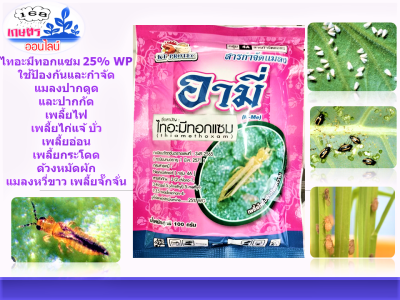 ไทอะมีทอกแซม 25% Thiamethoxam ( 100 g ) สารป้องกันกำจัดแมลง สูตรเย็น ชนิดดูดซึม กำจัดเพลี้ยอ่อน เพลี้ยไฟ บั่ว แมลงปากดูดทุกขนิด #แอคทารา