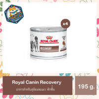 [4กระป๋อง] Royal Canin Recovery Cats Dogs Canned Food Feline Canine 4 Unit อาหารสุนัข แมว ประกอบการรักษาโรค สัตว์ป่วยพักฟื้น กระป๋อง 195g. สินค้า มาใหม่