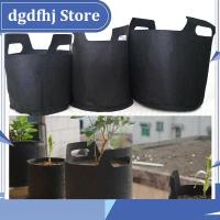 Dgdfhj Shop 1/2/3 Gallon 3Gal Grow Bags Black Pots Garden Fabric Plant Vegetable Flower Planter DIY Growing Bag Gardenig Tools