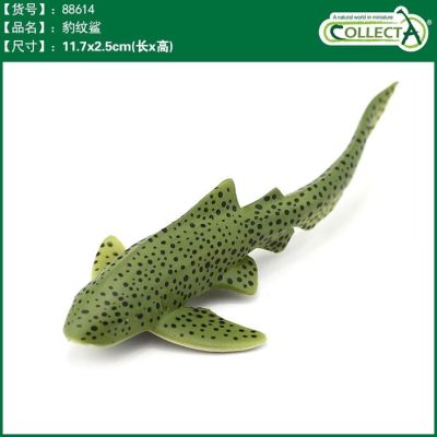 British CollectA recently I you he simulation model of Marine animal toy shark cognition 886