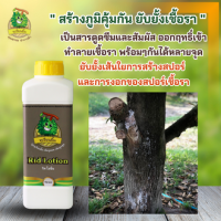 ริดโลชั่น Rid Lotion ทุเรียนยิ้ม สร้างภูมิคุ้มกัน ยับยั้งเชื้อรา