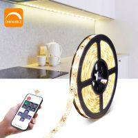 1M 2M 3M 4M 5M LED Strip 12V Waterproof Dimmable Remoter Control Dimmer lamp Tape For Kitchen Cabinet Closet Indoor lighting Ceiling Lights