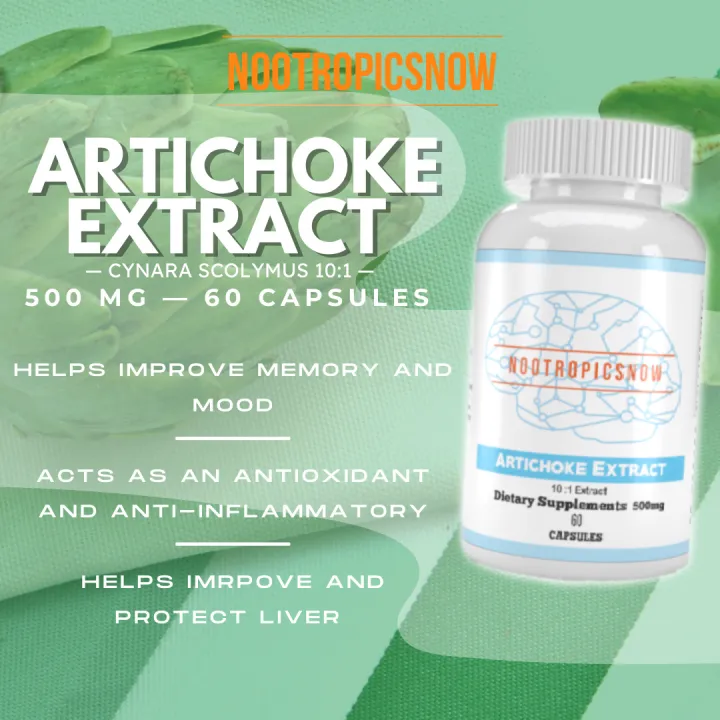 Artichoke Extract 500 mg, 101 (60 capsules, 60 servings) Nootropic