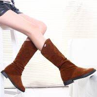 Womens Fashion Increased In Matte Long Tube Plus Cashmere Warm Knight Boots