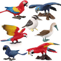 ของเล่นเด็กรุ่นนก Parrot Action Figure Cassowary Cormorant Figurine ภูมิทัศน์เครื่องประดับของเล่นของขวัญสัตว์ Collection Models