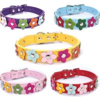 【CW】 Dog Flowers Collar Leash Leather Collier Chain Neck for Small Middle Large Chihuahua Pug Fashion