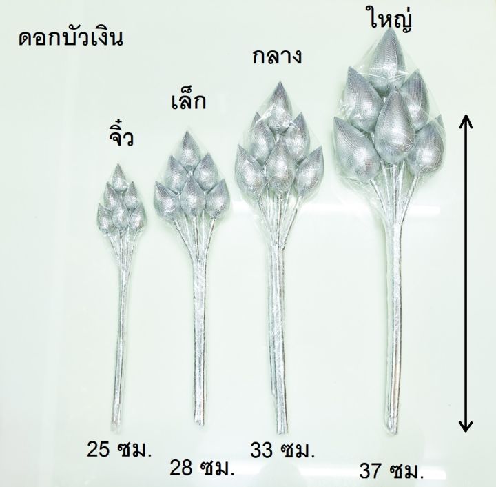 ดอกบัวกำ-เงิน-ทอง-ชมพู-เขียว-ขนาดจิ๋ว-เล็ก-กลาง-ใหญ่