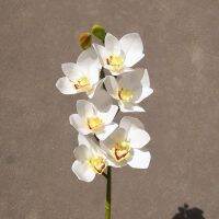 ดอกไม้ตกแต่งบ้านยางกล้วยไม้ Cymbidium ดอกไม้ประดิษฐ์อุปกรณ์ประดับภูมิทัศน์อุปกรณ์ประกอบฉากการถ่ายภาพแต่งงาน,1ชิ้น6หัว