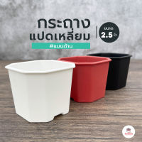 กระถางแปดเหลี่ยม 2.5 นิ้ว #ด้าน กระถางแคคตัส กระถางกระบองเพชร