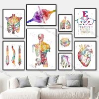 Ultra Detailed Human Anatomy กล้ามเนื้อระบบ Wall Art ภาพวาดผ้าใบโปสเตอร์และพิมพ์แผนที่ภาพผนัง Medical Education Room Home Decor