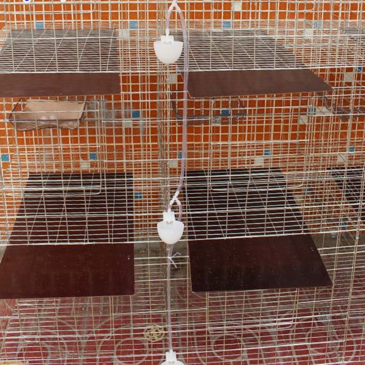 like-activities-ดื่มสำหรับนกพิราบเครื่องให้อาหารนกถ้วยนกพิราบชามดื่มเชื่อมต่อ4-7มิลลิเมตรท่อ-hangingpigeon-อุปกรณ์กรง5ชิ้น