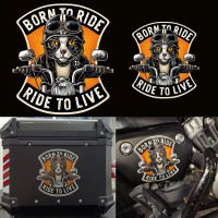 สติกเกอร์ไรเดอร์แมว Born To Ride สะท้อนแสงหมวกกันน็อคร่างกายรูปลอกกันน้ำ