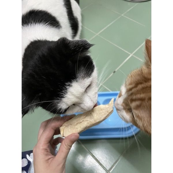 ขนมแมวญี่ปุ่น-ไก่อบแห้งไก่ฟรีซดราย-mama-cook-freeze-dry-scissors-for-cats-30g-mama-cook