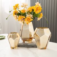 【LZ】ↂ☂☂  Vaso De Vidro De Estilo Nórdico para Decoração De Casa Pote De Terrário Dourado Decoração De Mesa Acessórios Para Sala De Estar Arranjo De Flores